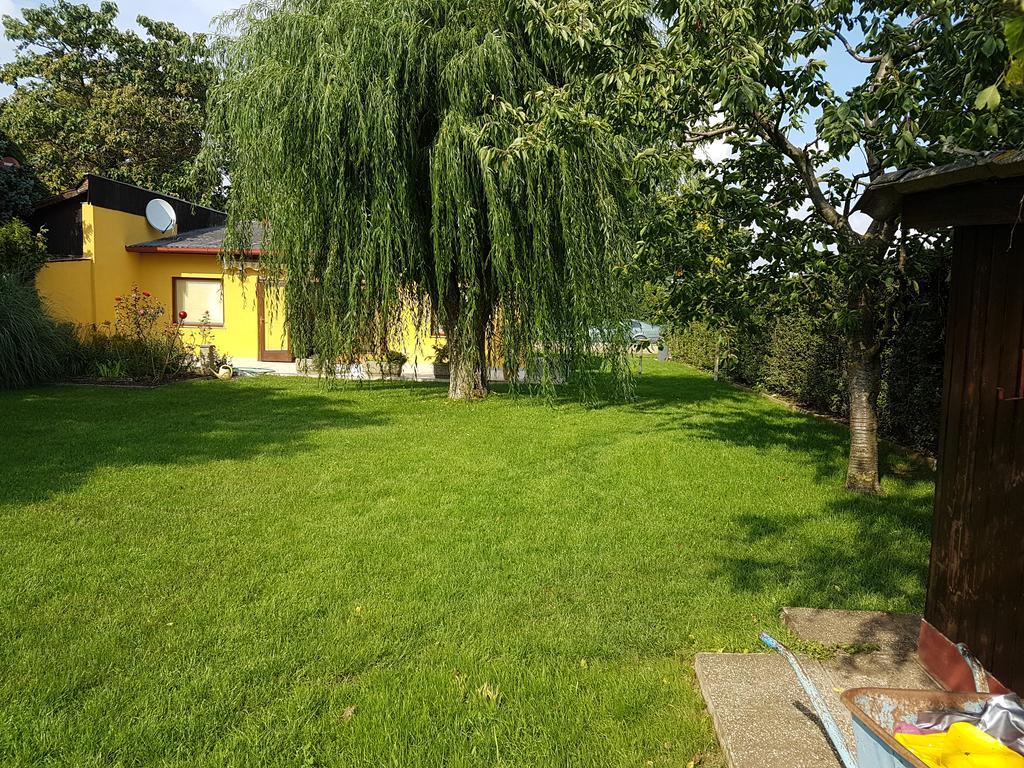 Ferienhaus Christian Sankt Andra am Zicksee Ngoại thất bức ảnh